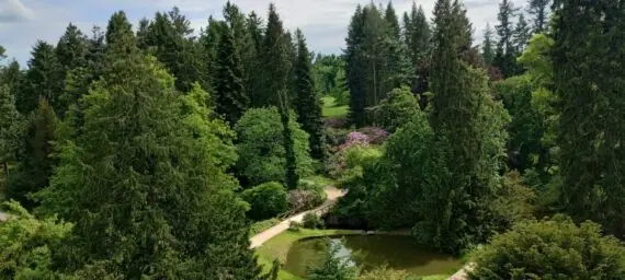 IMG_20250527_153500490_HDR-1536x691