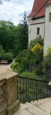 IMG_20250527_153606412_HDR-691x1536