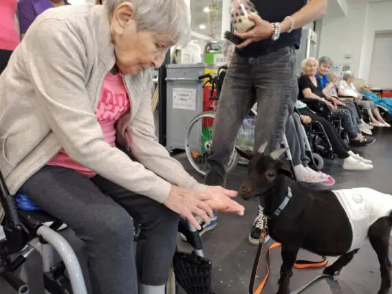 IMG_20250610_100422-1536x1152