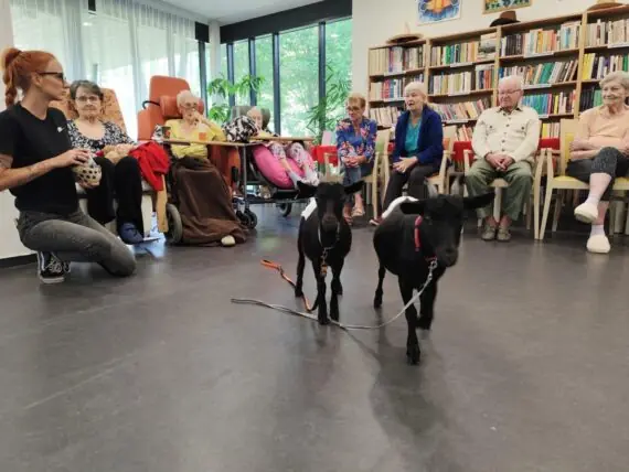 IMG_20250610_101104-1536x1152