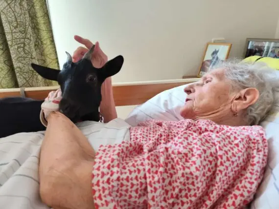 IMG_20250610_110629-1536x1152