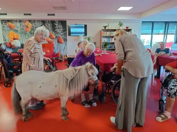 Ponyterapie v Senevida Plzeň: Dianka a Topinka zavítaly do našeho domova