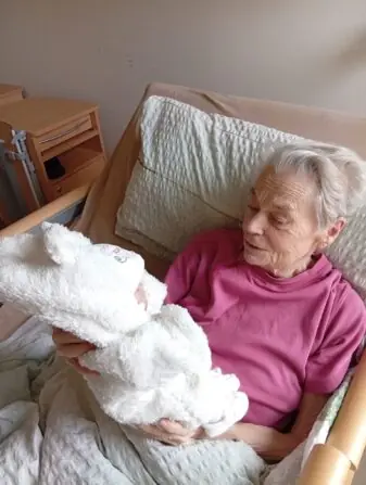 WhatsApp Image 2026-02-12 at 14.14.44