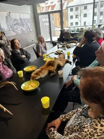 WhatsApp Image 2026-02-17 at 18