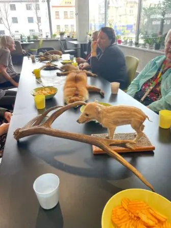 WhatsApp Image 2026-02-17 at 29