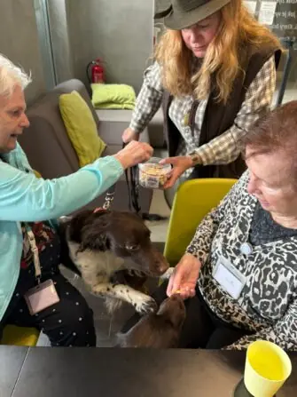 WhatsApp Image 2026-02-17 at 3