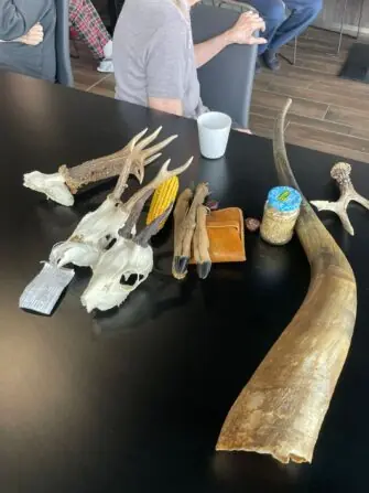 WhatsApp Image 2026-02-17 at 32