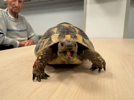 WhatsApp Image 2026-02-21 at 17.18.34