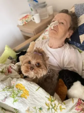 a5bb6cc0-5d4d-400a-86cc-301f3f353999