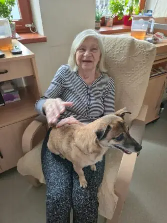 c23dbb89-9a60-4738-a382-749f06b88b5a