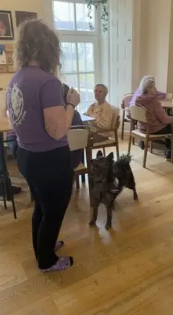 canisterapie filipov (10)