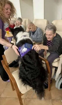 canisterapie filipov (11)