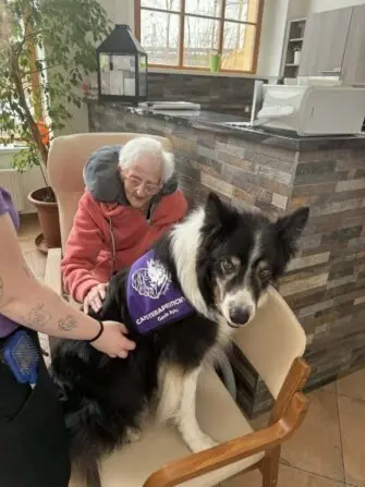 canisterapie filipov (12)