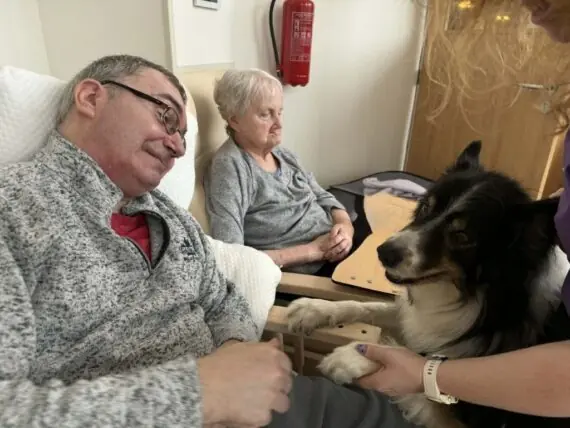 canisterapie filipov (17)