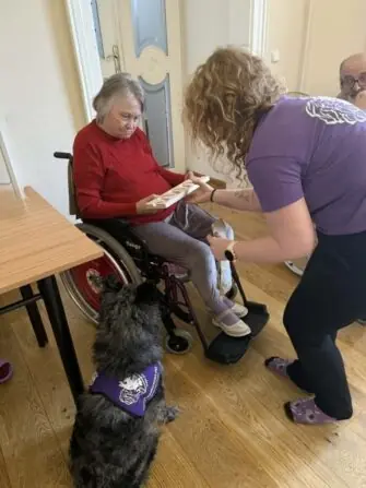 canisterapie filipov (9)