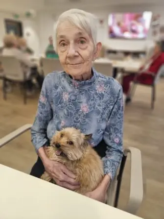 d17e5e38-e4a6-49d3-9a37-0258cf20f038