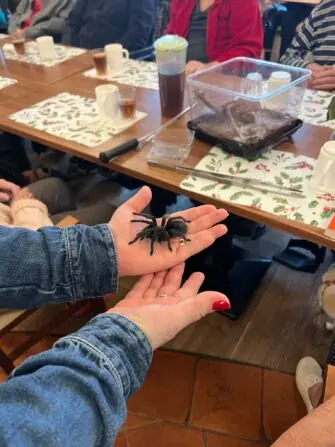 dcb20ab5-9911-4aad-a7e8-5a5d18183259