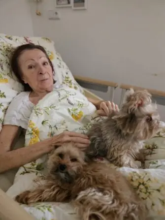 dd3bd29b-58d7-4b57-8c61-ba2e5cc6851a