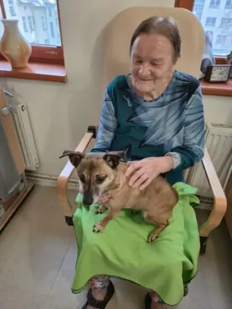 e4a22cec-a586-4c45-afe8-a0abee06e40a