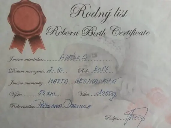 Realistická panenka reborn