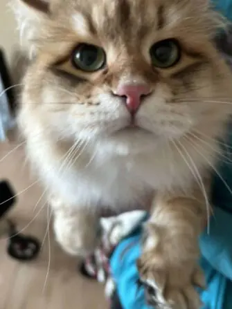 received_1475604003128855-1152x1536