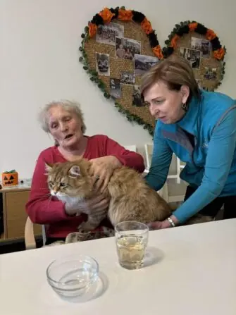 received_1637220867140191-1152x1536