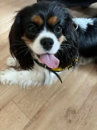 received_2851031635073860-1152x1536