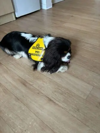 received_2937319893099115-1152x1536