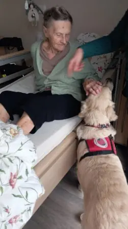 007b85a1-e365-4e7c-81d7-0cb3dc47b8dd