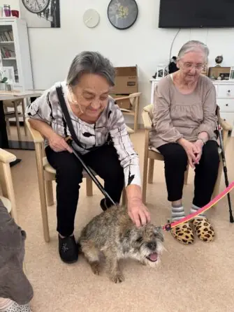 066c8209-02de-40aa-95f5-51ad3fa5e2d1