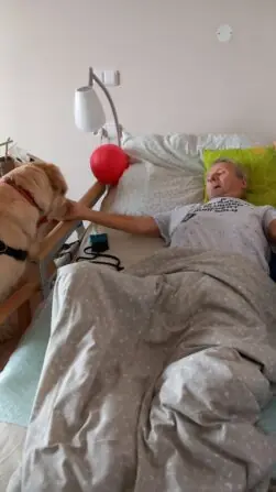 1ddd079a-91ee-4abb-a2a1-8169a1c58b14