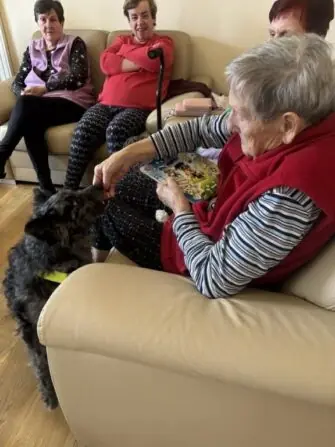 2026 02 canisterapie (7)