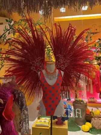 2026 02 povídání o brazílii (12)