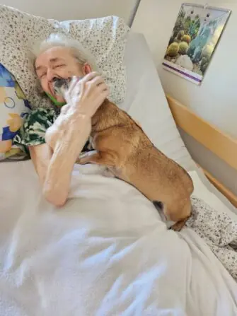 232c90d9-ad9a-483b-86fd-d2da04ae1fe3