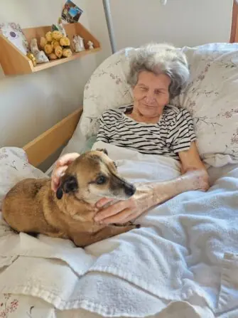 389a7ea1-ac8a-4ade-932f-4ed5a1963cbc