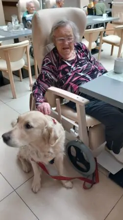 3e974011-02cf-4349-bc15-17af87a0fa09