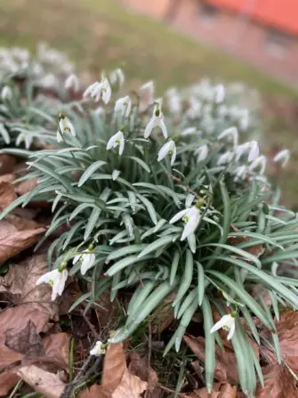 4d0c7546-7f13-4bcc-bfba-4ed1bfa63634