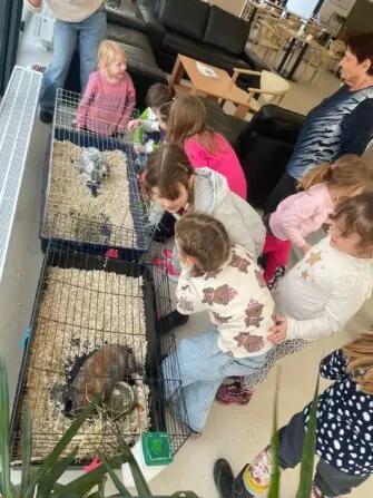 654df129-c0c5-4f27-94f8-3d610d66816f