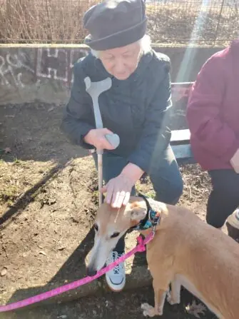 6f7c4c79-8ddf-4f3b-9add-15de5d7a36c6