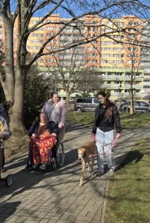 7124f000-8a9b-4add-a4e0-6c3217a370dc