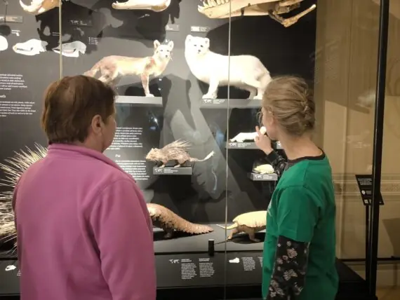 DC Praha - Národní muzeum _foto č 068 _IMG_20260310_151508