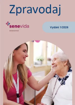 Snímek obrazovky 2026-03-25 093459