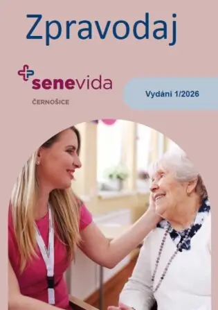 Snímek obrazovky 2026-03-30 151816