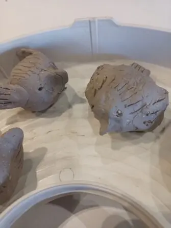 WhatsApp Image 2026-02-26 at 13.32.08 (1)