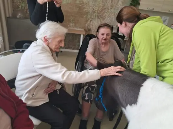 WhatsApp Image 2026-02-26 at 14.59.01