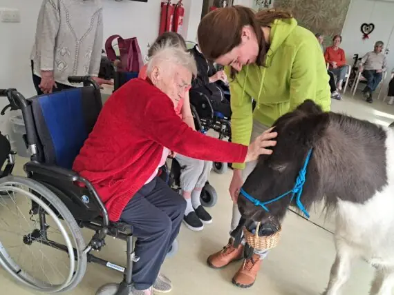 WhatsApp Image 2026-02-26 at 14.59.04