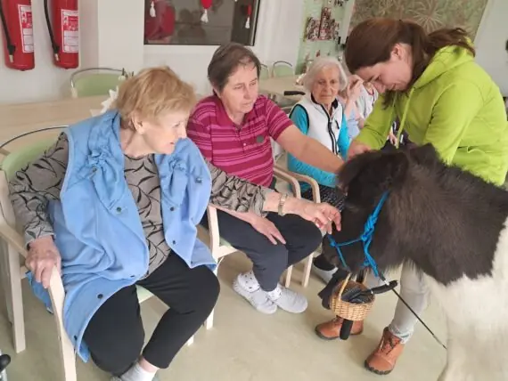 WhatsApp Image 2026-02-26 at 14.59.05