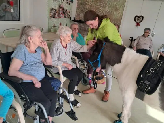 WhatsApp Image 2026-02-26 at 14.59.06