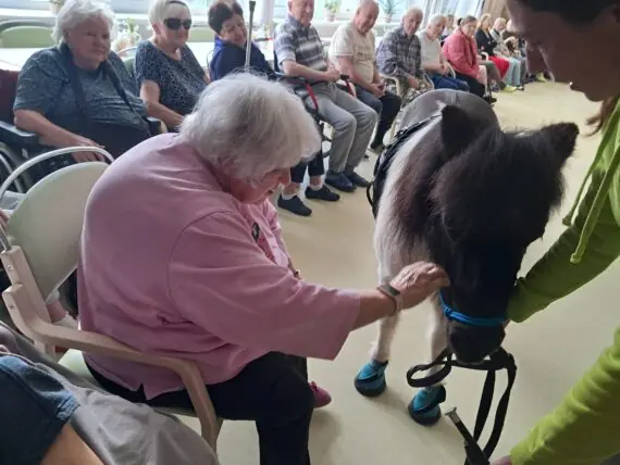 WhatsApp Image 2026-02-26 at 14.59.46