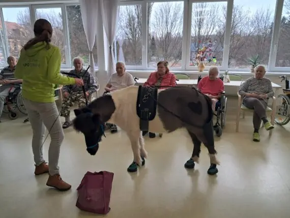 WhatsApp Image 2026-02-26 at 14.59.53